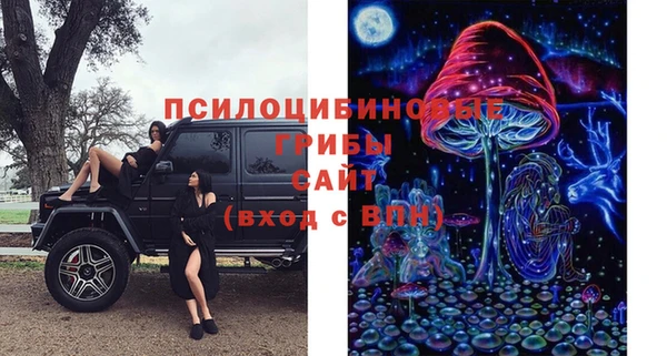 a pvp Зеленокумск