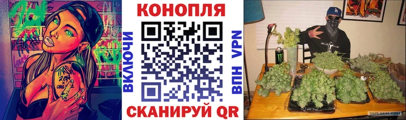 Бошки марихуана семена Карасук